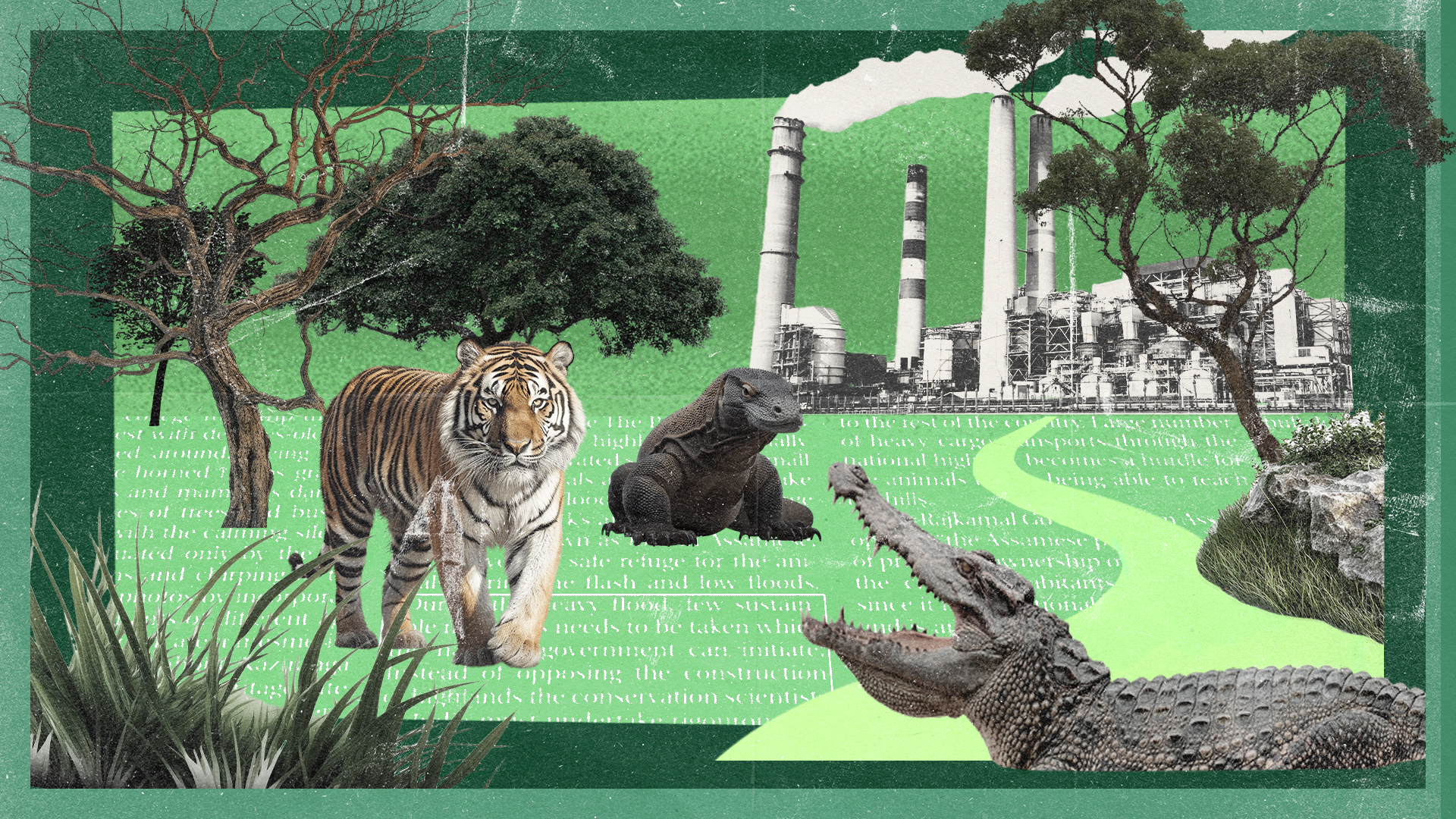 Memandang Keanekaragaman Hayati di Luar Lensa Ekonomi